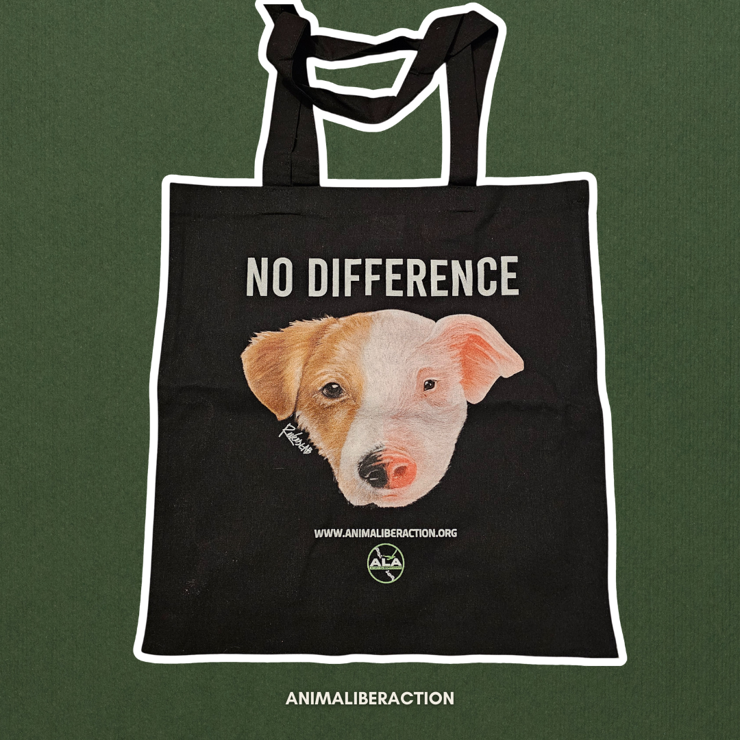 Shopper NO DIFFERENCE