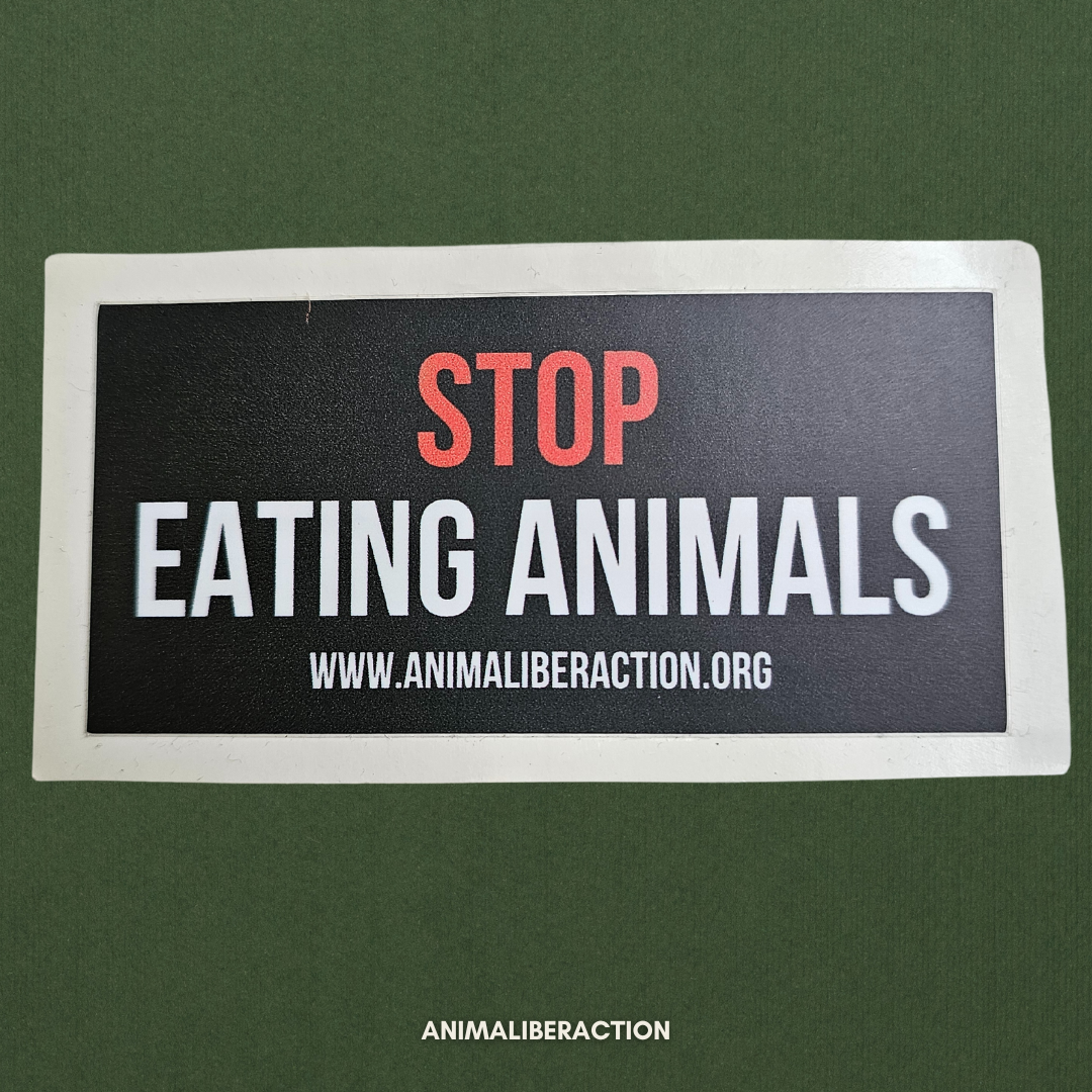 Adesivo STOP EATING ANIMALS Grande - 10x5 cm