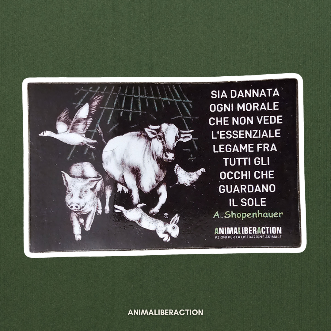 Magnete Schopenhauer