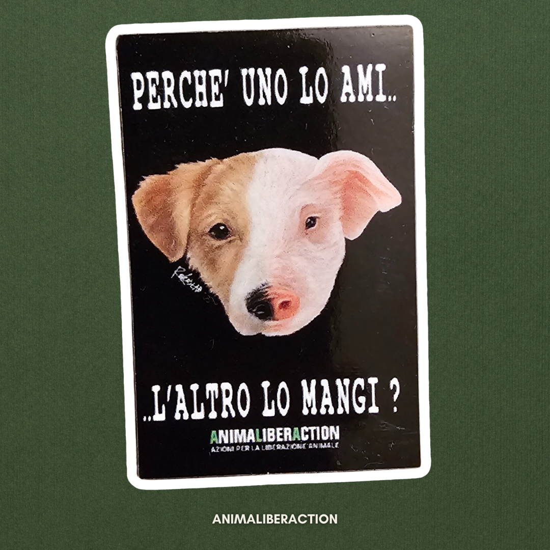 Magnete NO DIFFERENCE