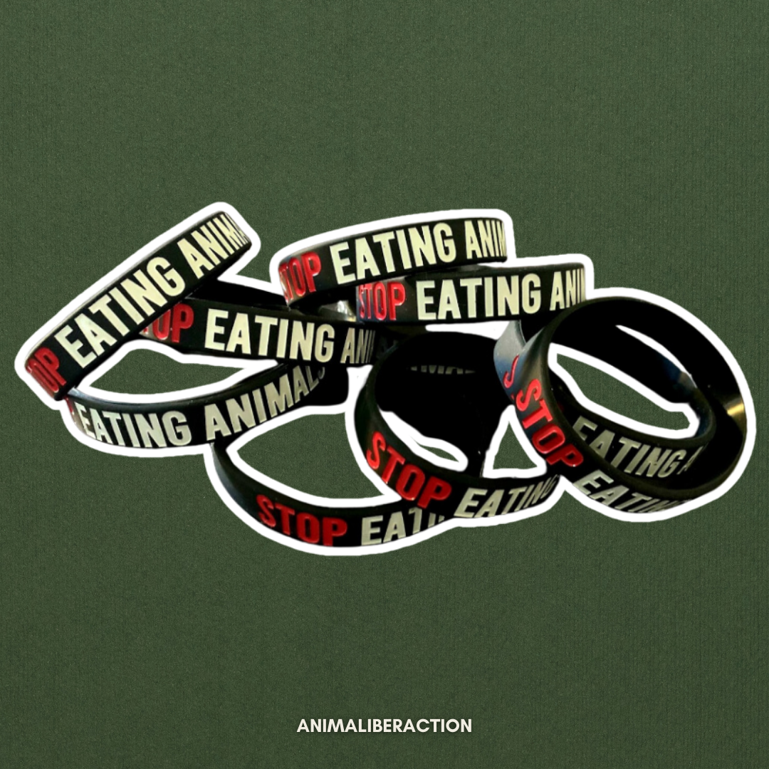Braccialetto Stop Eating Animals