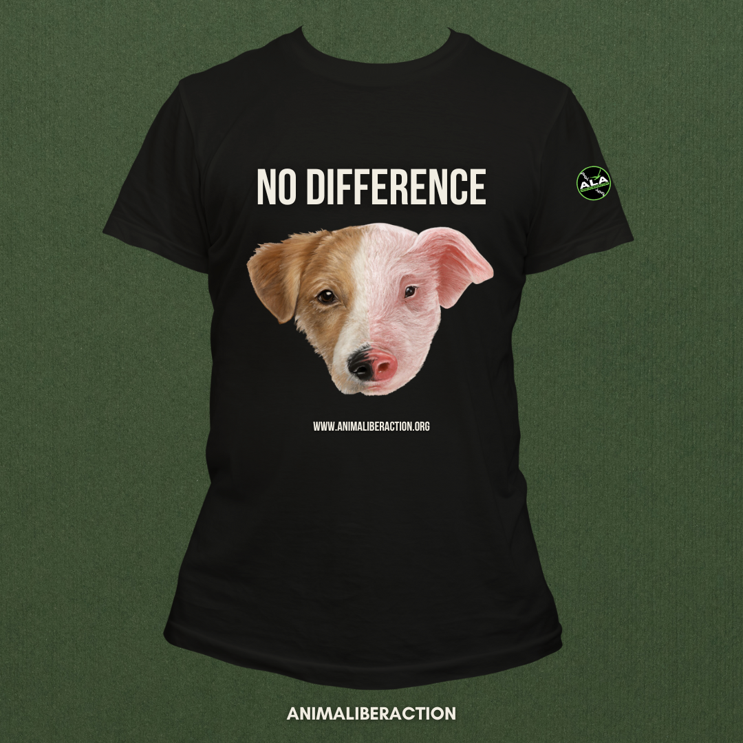 Tshirt NO DIFFERENCE