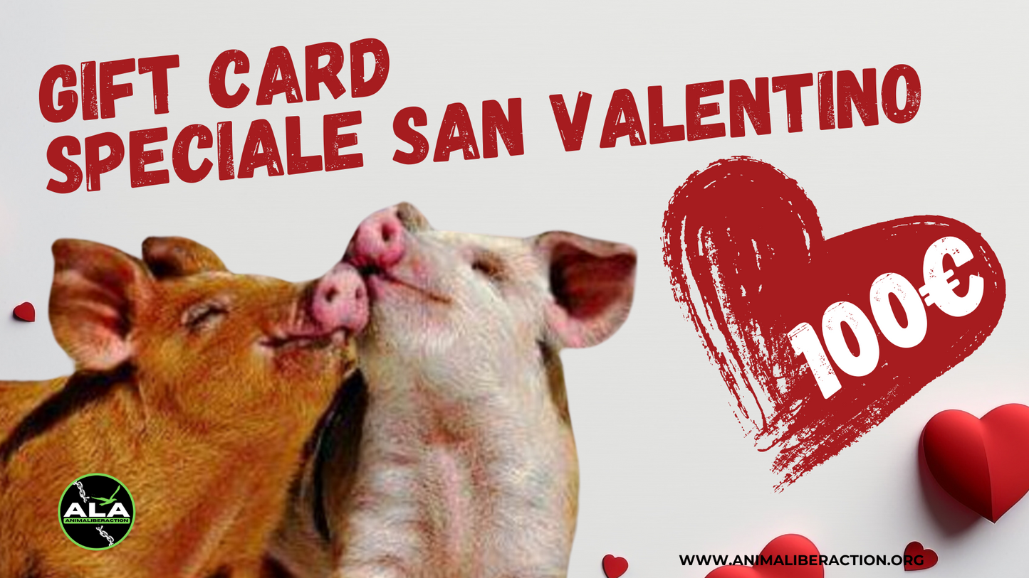 Speciale San Valentino