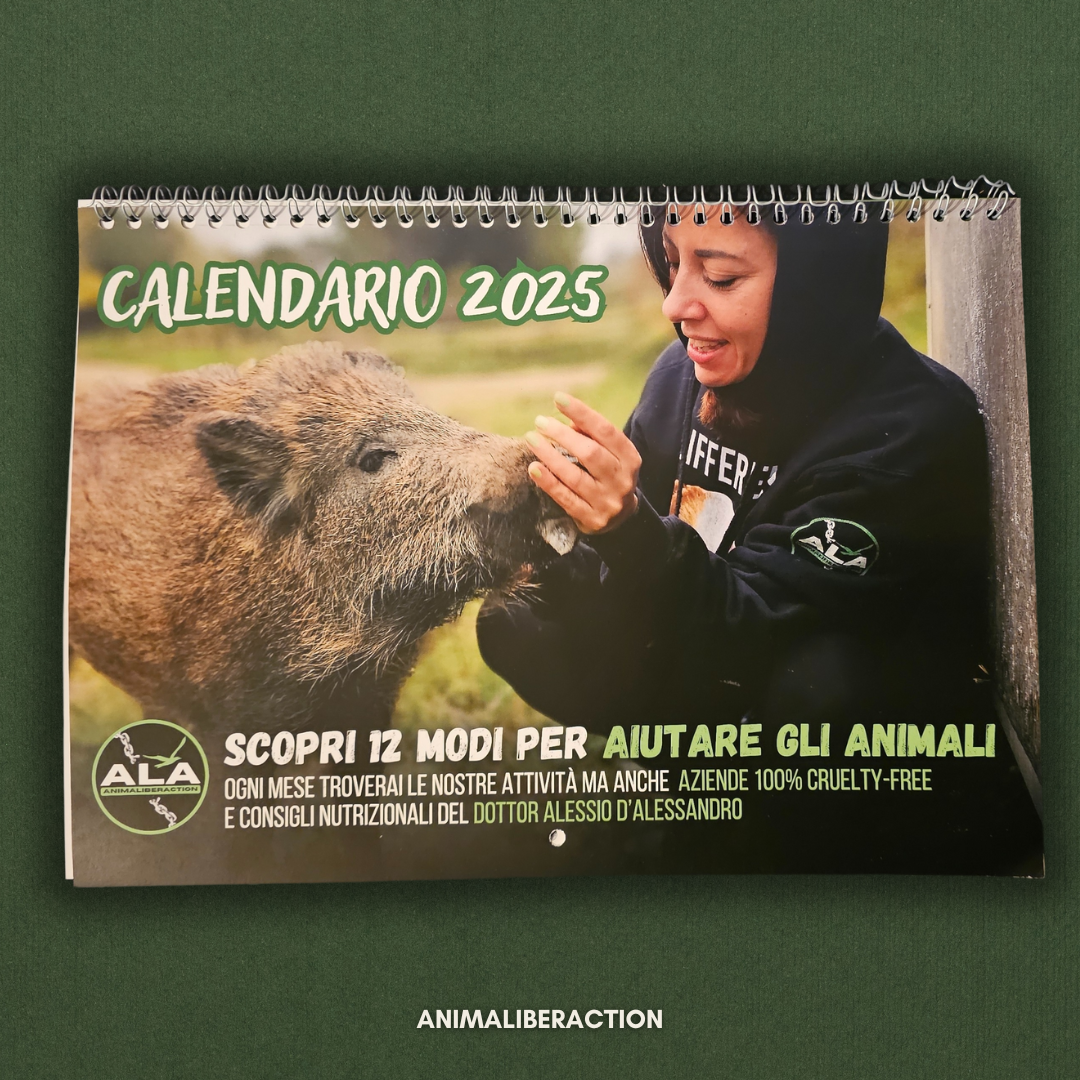 CALENDARI E AGENDE