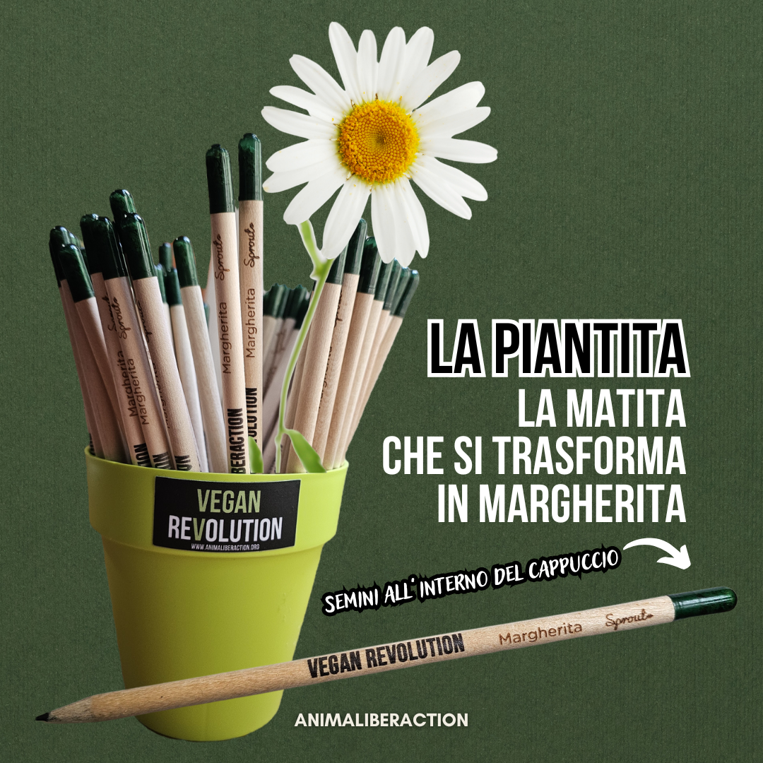 MargheTITA Vegan Revolution