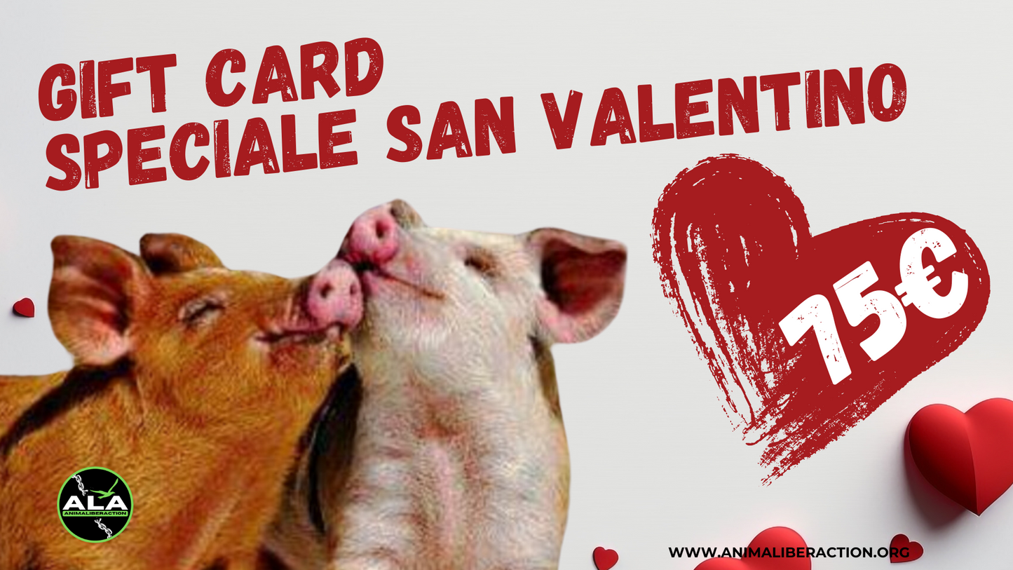 Speciale San Valentino