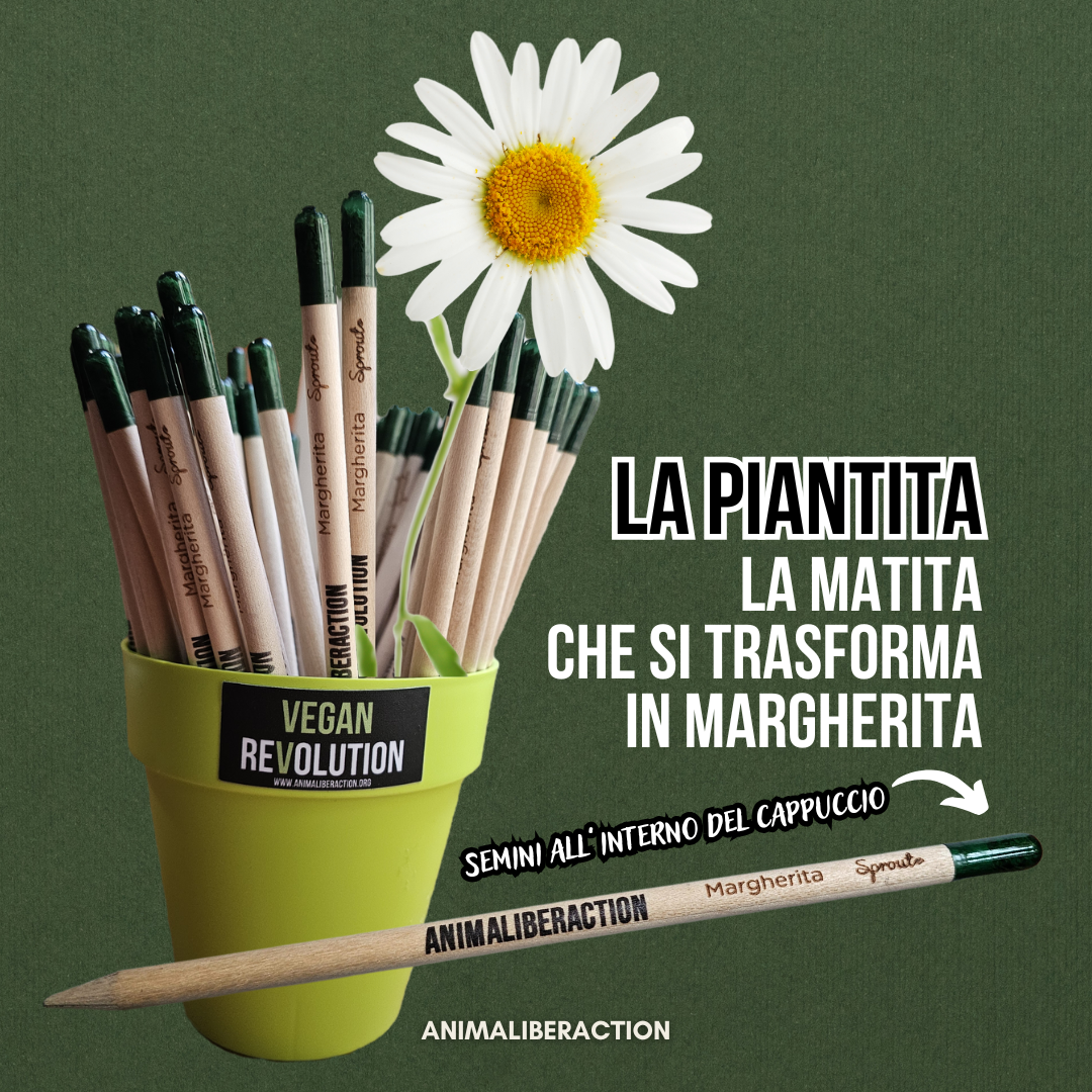 MargheTITA AnimaLiberAction