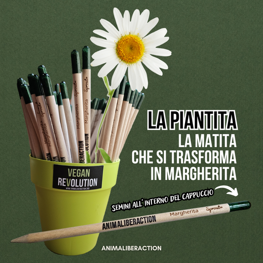 MargheTITA AnimaLiberAction