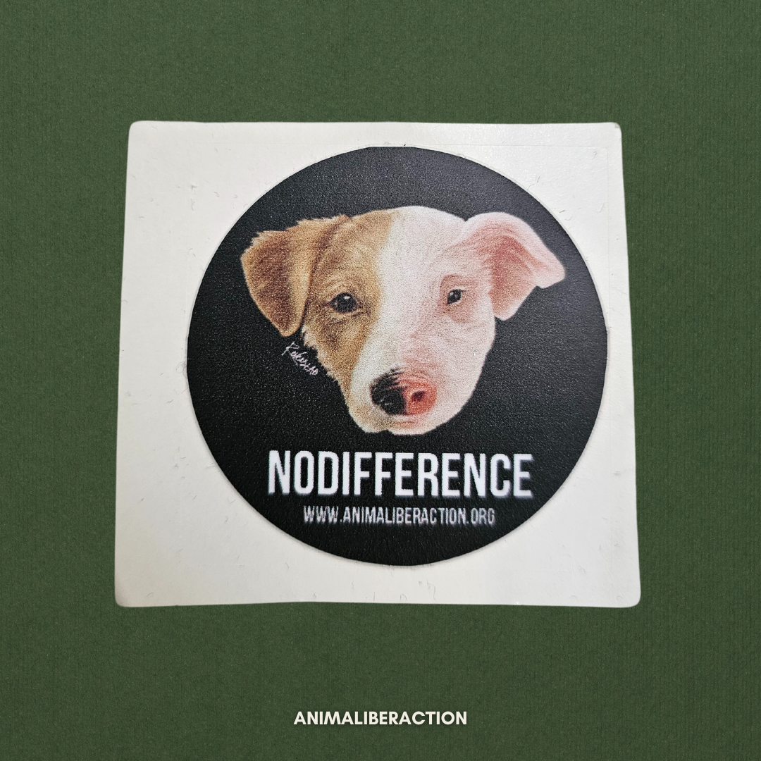 Adesivo NO DIFFERENCE Medio - 5x5 cm