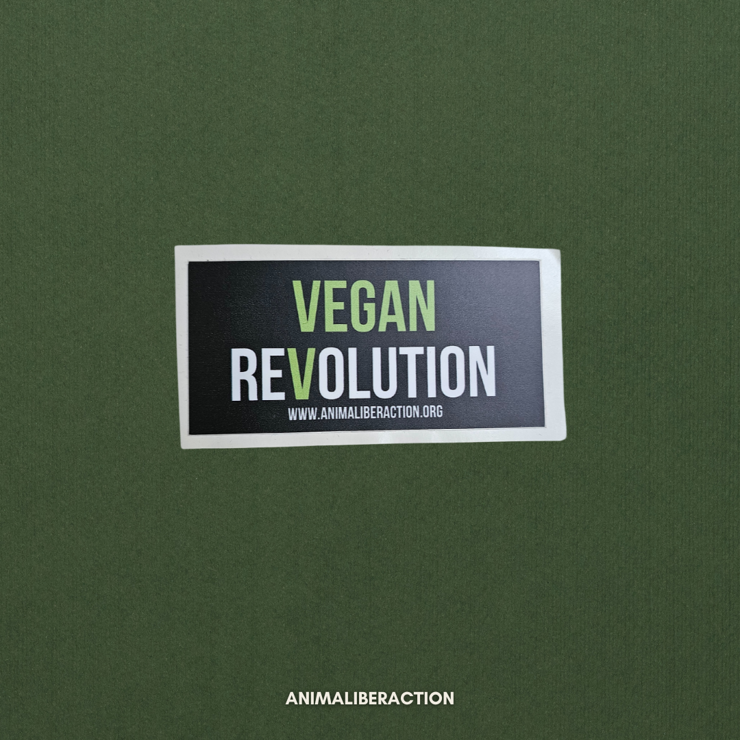 Adesivo Vegan Revolution  Piccolo - 5x2 cm