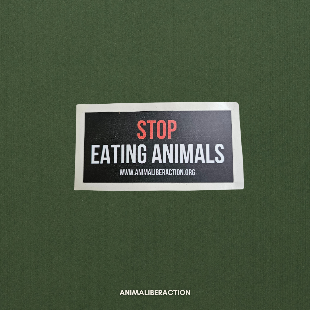 Adesivo Stop Eating Animals Piccolo - 5x2 cm