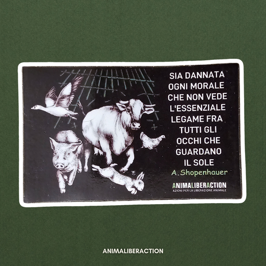 Magnete Schopenhauer