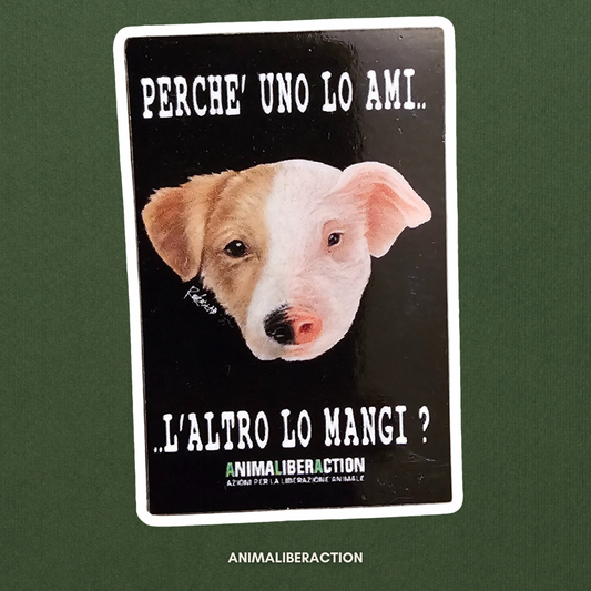 Magnete NO DIFFERENCE