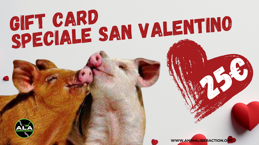 Speciale San Valentino