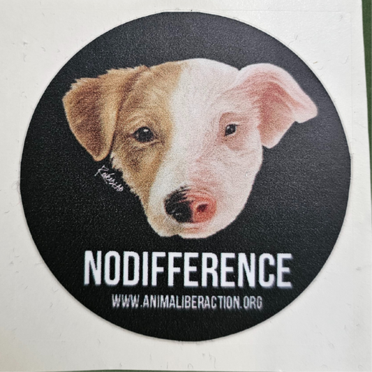 Adesivo NO DIFFERENCE grande - 9x9 cm