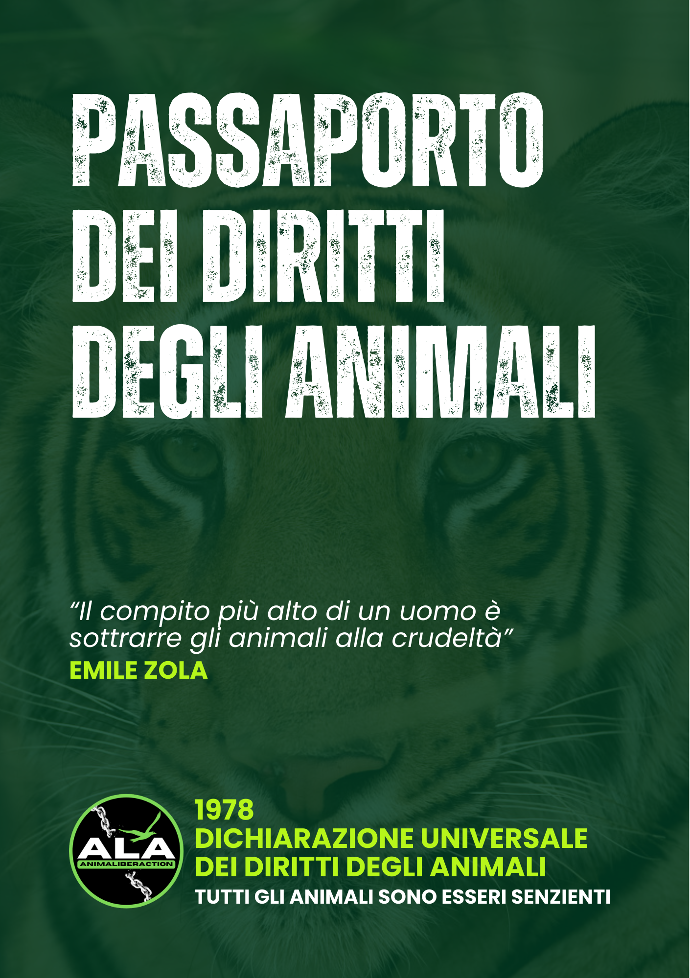 TESSERA 2026