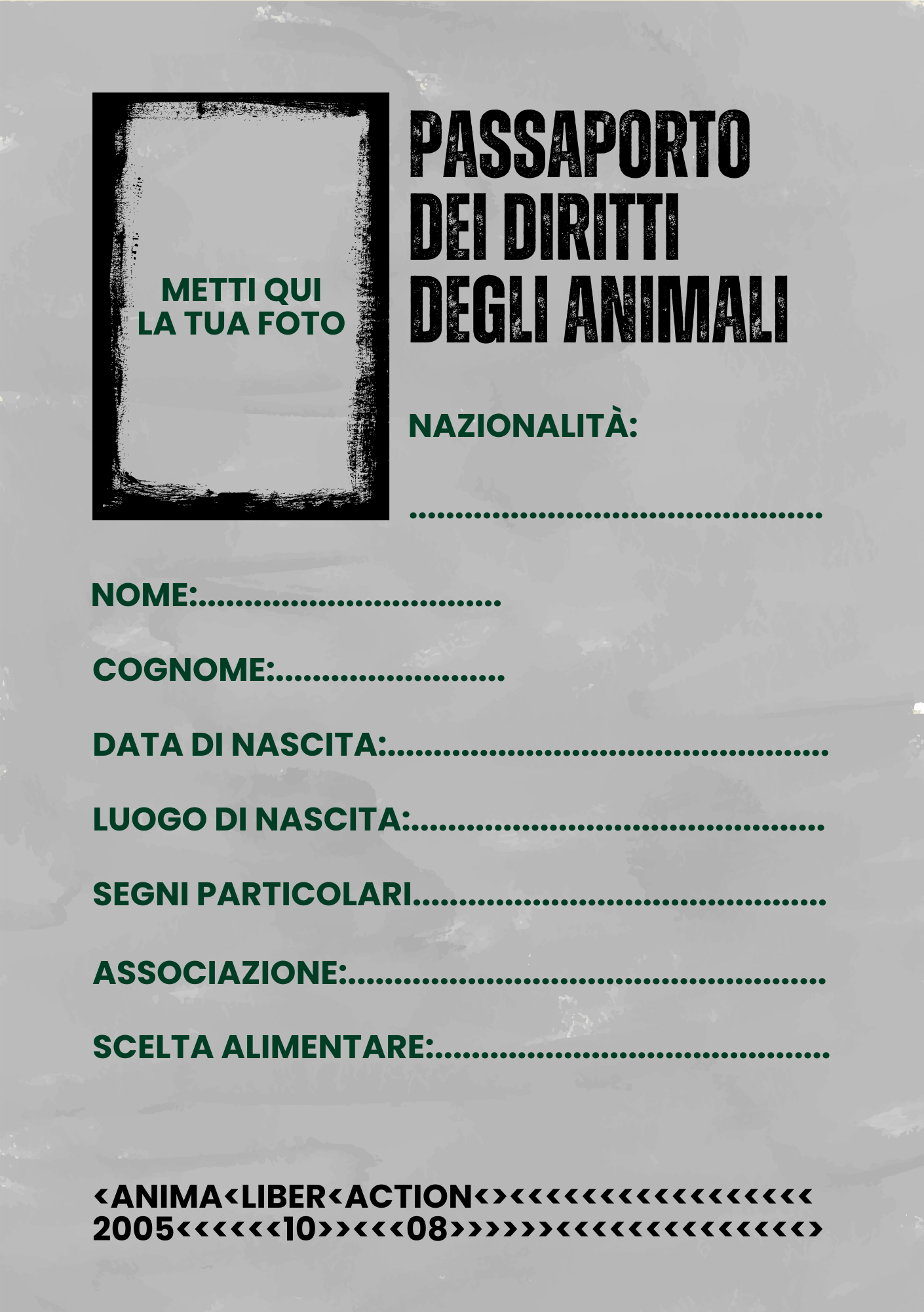 TESSERA 2026