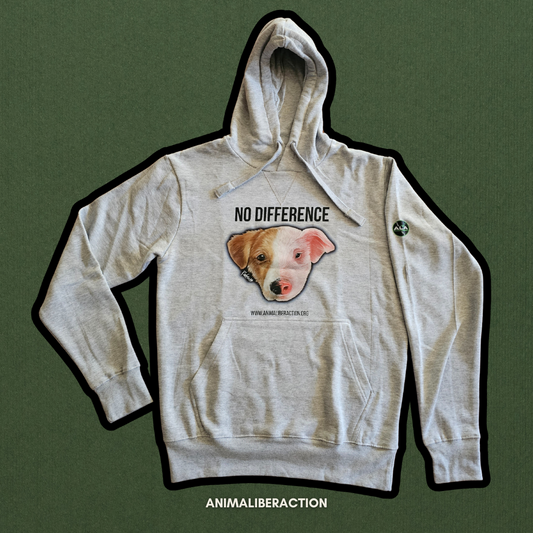 Felpa NO DIFFERENCE grigia