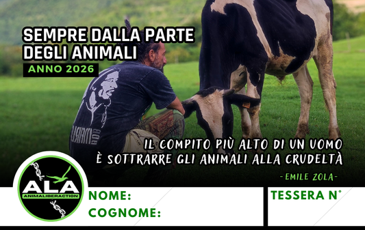 TESSERA 2026