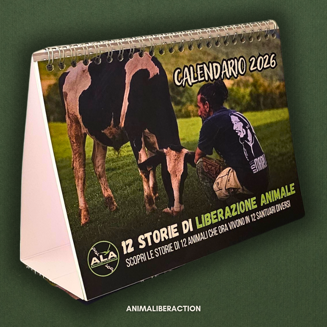 Calendario da tavolo 2026